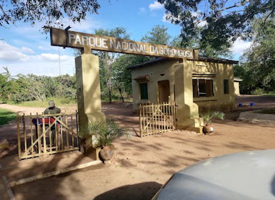 mozambique/lake-niassa/landmark/gorongosa-national-park