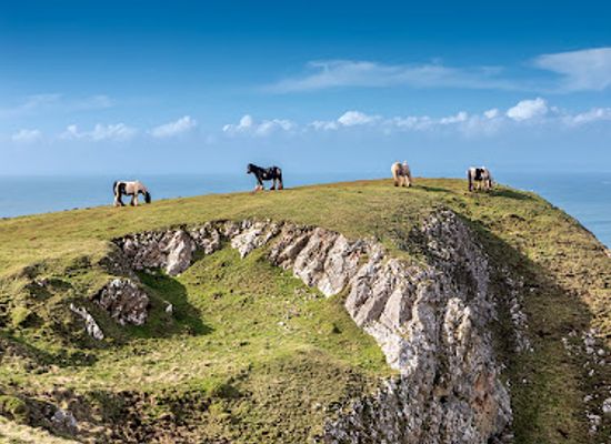 united-kingdom/west-glamorgan/attraction/rhossili-bay-2