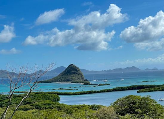 saint-vincent-and-the-grenadines/union-island/landmark/m-v-lady-j-j