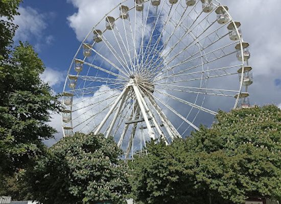 united-kingdom/stratford-upon-avon/attraction/stratford-butterfly-farm-2