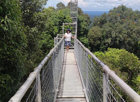 brunei/belalong-canopy-walkway/landmark/freme-rainforest-lodge