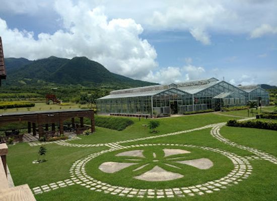 saint-kitts-and-nevis/gingerland/landmark/st-kitts-eco-park