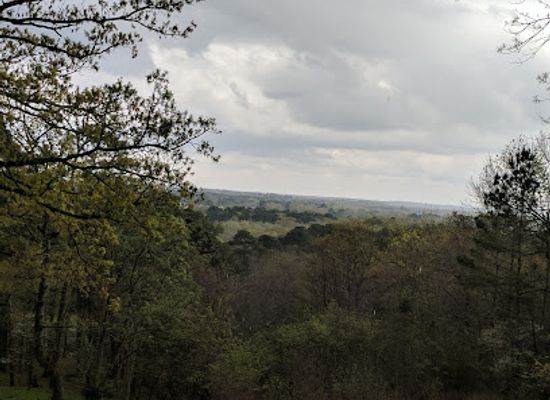 texas/piney-woods/landmark/davey-dogwood-park