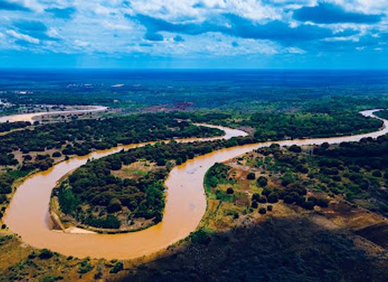 kenya/tana-river-basin/landmark/tana-river-primate-national-reserve