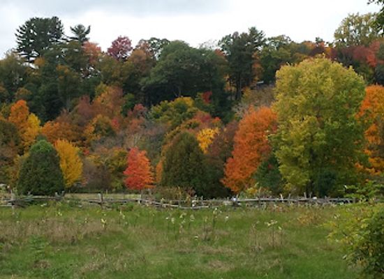 vermont/green-mountains/landmark/ethan-allen-homestead-museum-and-historic-site