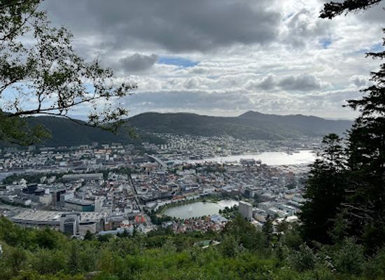 norway/bergen/floyen/landmark/trollskogen