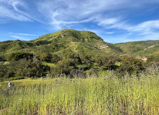 california/irvine/landmark/limestone-canyon-nature-preserve