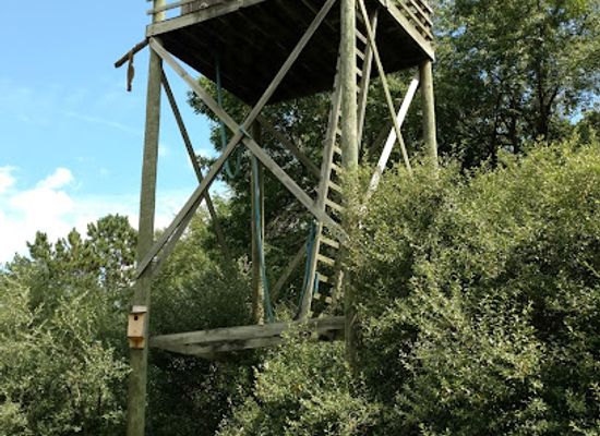 iowa/western-iowa/landmark/lake-macbride-state-park