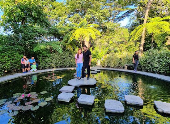 el-salvador/western-region/landmark/plan-de-la-laguna-botanical-garden