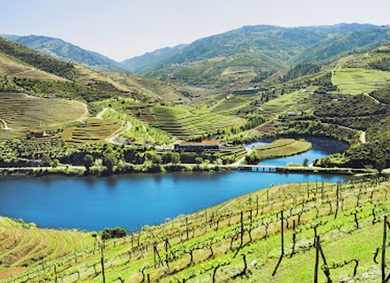 portugal/douro/landmark/douro-valley-wine-tours