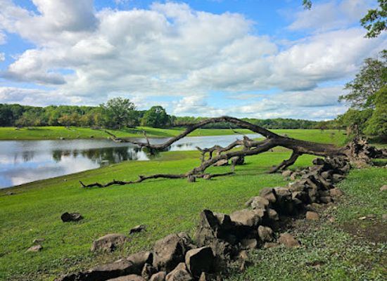 ireland/county-clare/landmark/coole-park