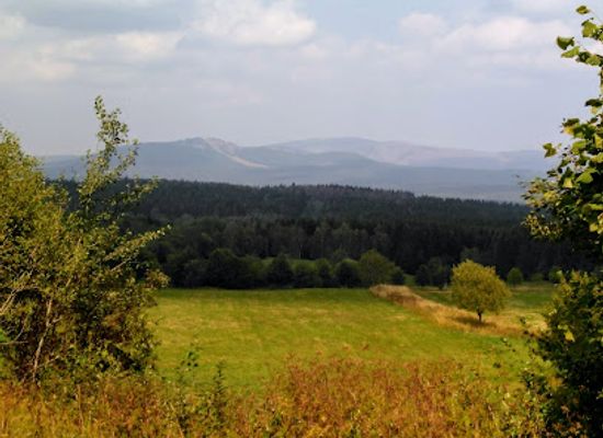 germany/harz-national-park/landmark/harzer-bachtaler