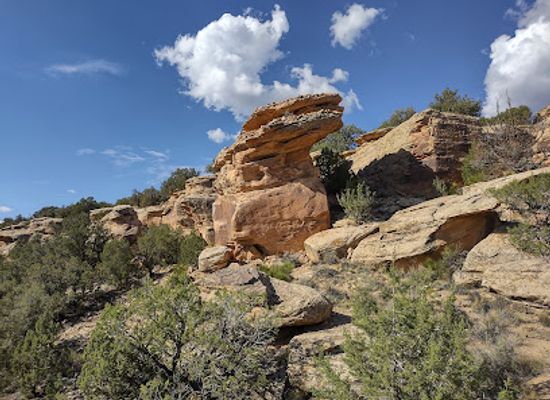 arizona/monument-valley/landmark/canyons-of-the-ancients-national-monument