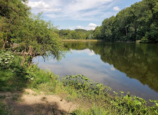 kentucky/knobs-region/landmark/jefferson-memorial-forest