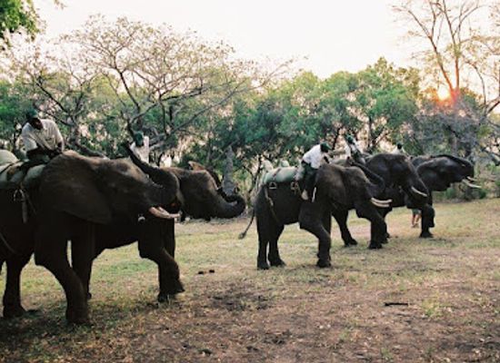 zambia/livingstone/landmark/elephant-back-safari