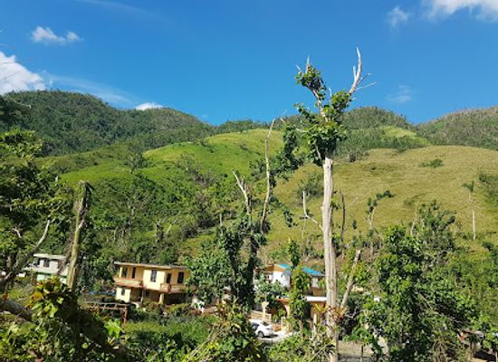puerto-rico/guayama/landmark/bosque-estatal-de-carite