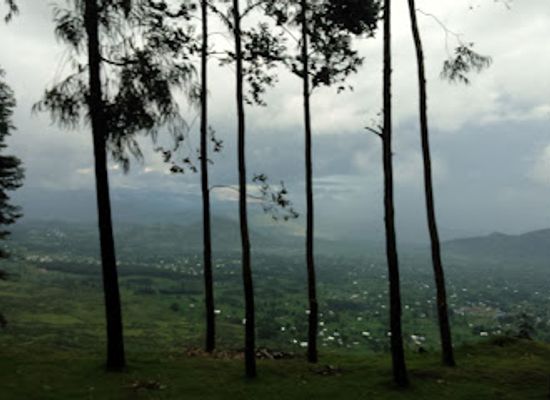 rwanda/volcanoes-national-park/landmark/rwanda-gorilla-safari