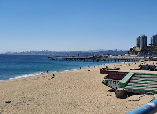 chile/vina-del-mar/valparaiso/landmark/playa-caleta-portales