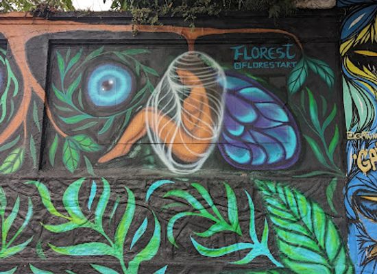 brazil/sao-paulo/pinheiros/landmark/graffiti-wall