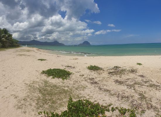 mauritius/flic-en-flac-beach/landmark/martello-tower-museum
