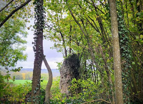belgium/durbuy/landmark/menhir-de-heyd