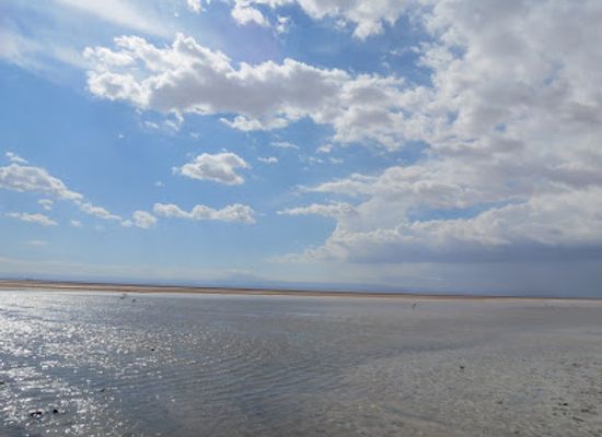 chile/san-pedro-de-atacama/landmark/salar-de-atacama