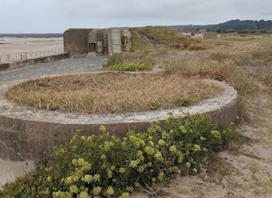 jersey/st-peter/landmark/the-national-trust-for-jersey-wetland-centre