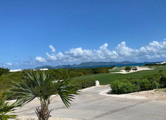 anguilla/rendezvous-bay/landmark/d-richard-s