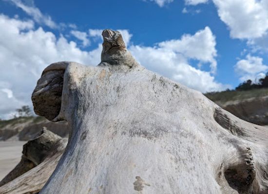 australia/byron-bay/landmark/tallow-beach