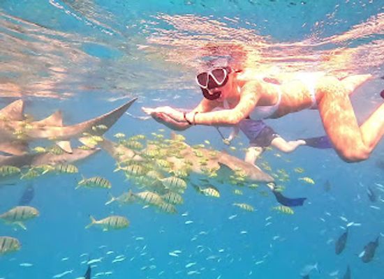 maldives/thoddoo/landmark/amazing-trip-thoddoo