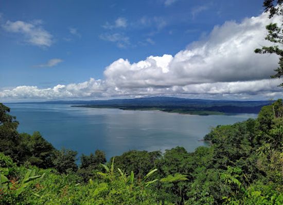 costa-rica/osa-peninsula/landmark/reserva-forestal-golfo-dulce