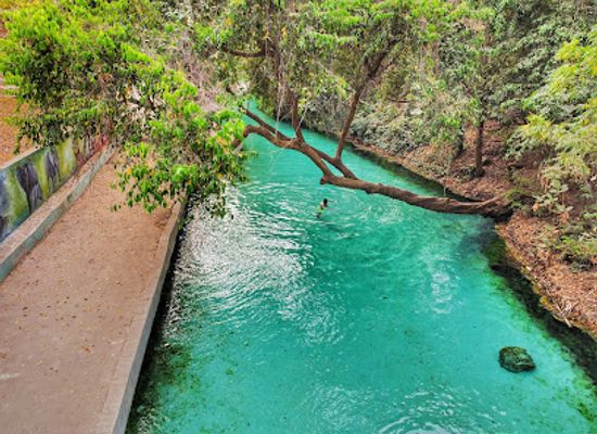 nigeria/owu-forest-reserve/landmark/yankari-game-reserve