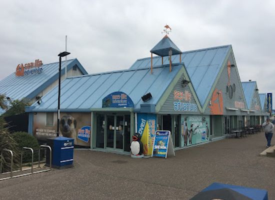 united-kingdom/essex/attraction/sealife-adventure-2