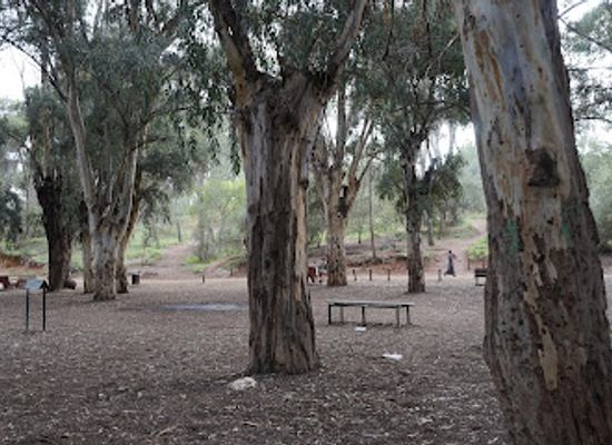 morocco/fes-region/landmark/foret-d-ain-chkef