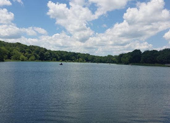 illinois/quad-cities/landmark/silver-springs-state-fish-and-wildlife-area