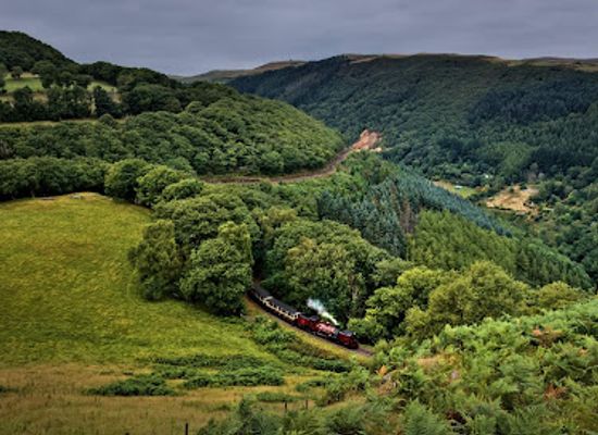 united-kingdom/cardiganshire/attraction/vale-of-rheidol-railway-2