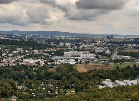 czechia/brno/landmark/obora-holedna