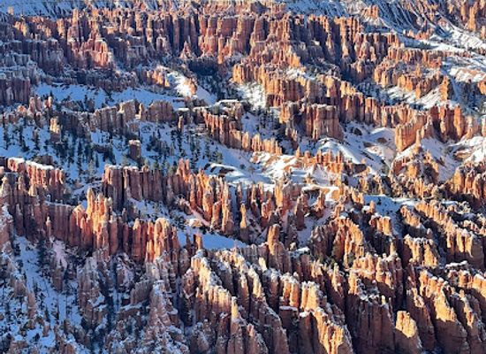 utah/bryce-canyon-national-park/landmark/bryce-canyon-lodge-gift-shop