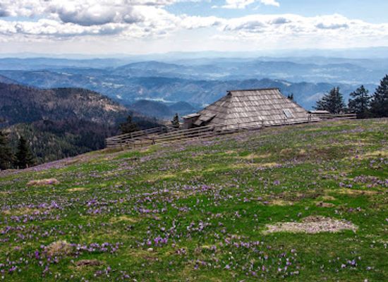 slovenia/central-slovenia/landmark/big-pasture-plateau