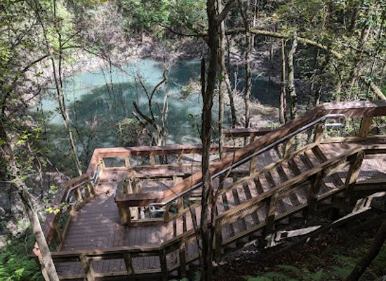 florida/gainesville/landmark/devil-s-millhopper-geological-state-park