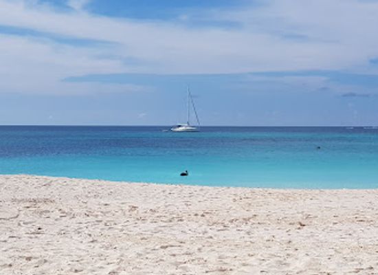 anguilla/shoal-bay/landmark/hank-s