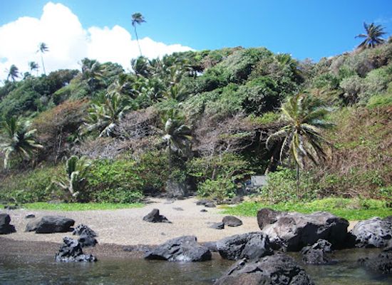 saint-vincent-and-the-grenadines/mustique/landmark/owia-salt-pond