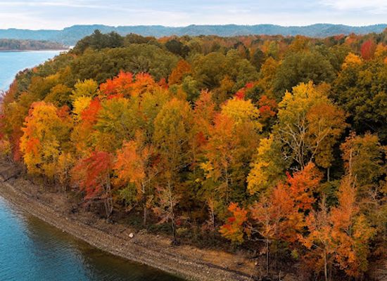 kentucky/knobs-region/landmark/cave-run-lake-tailwater