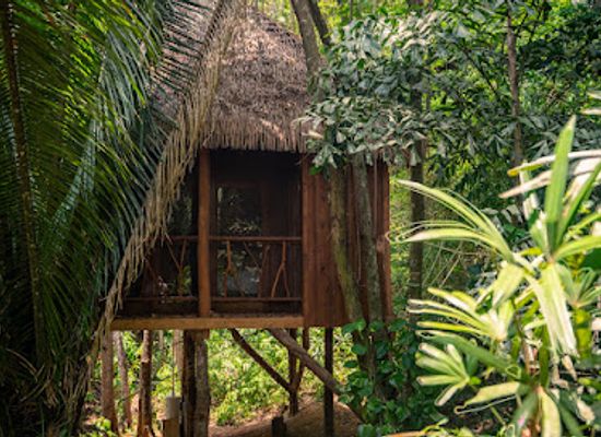 belize/mountain-pine-ridge/landmark/sweet-songs-jungle-lodge-a-muy-ono-resort