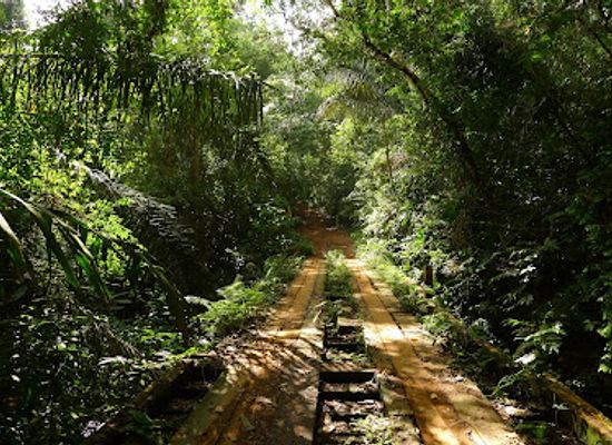 panama/panama-canal-zone/landmark/parque-nacional-soberania