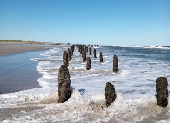 new-jersey/pine-barrens/landmark/north-brigantine-natural-area