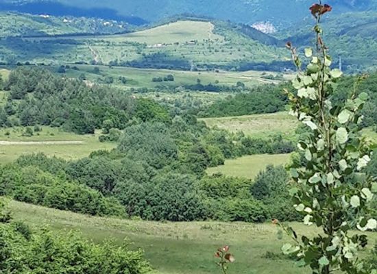 bulgaria/vitosha-mountain/landmark/galunka-panorama-walk-zheleznitsa-to-bistritsa