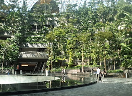 singapore/changi/landmark/mirror-maze