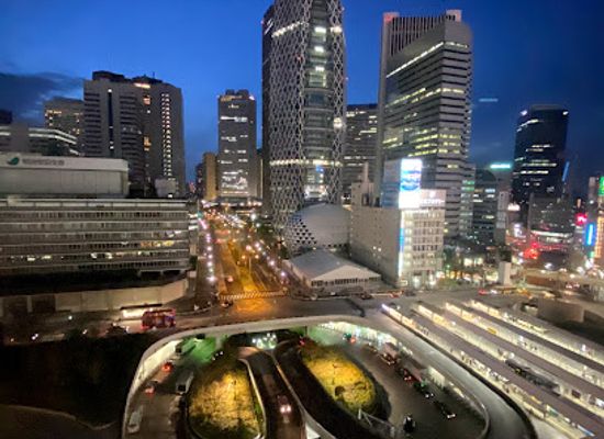 japan/tokyo/shinjuku/landmark/subaru-building-shinjuku-eye