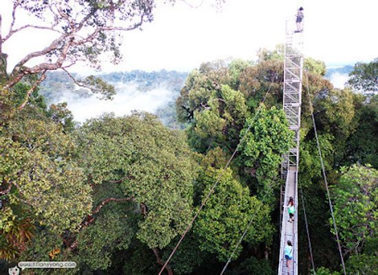 brunei/temburong-district/landmark/az-back-to-nature-travel-and-tours-sdn-bhd